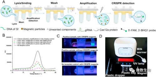 在家自己做核酸检测 萧山公司创新产品引领便捷检测新潮流，计算机软硬件协同实现1小时快速检测